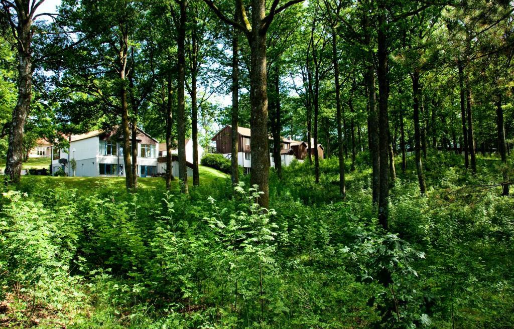 Ekebacken Hotell & Konferens Markaryd Zewnętrze zdjęcie